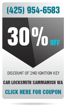 discount of 2nd ignition sammamish wa